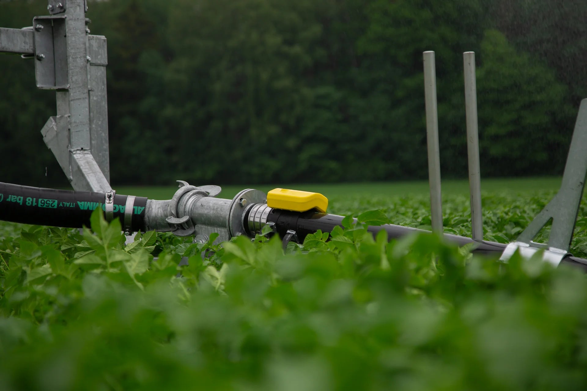 7Sense Irrigation Sensor