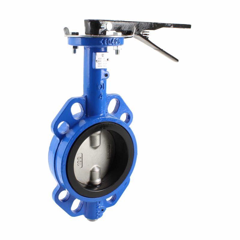 Przepustnica motylkowa DN65